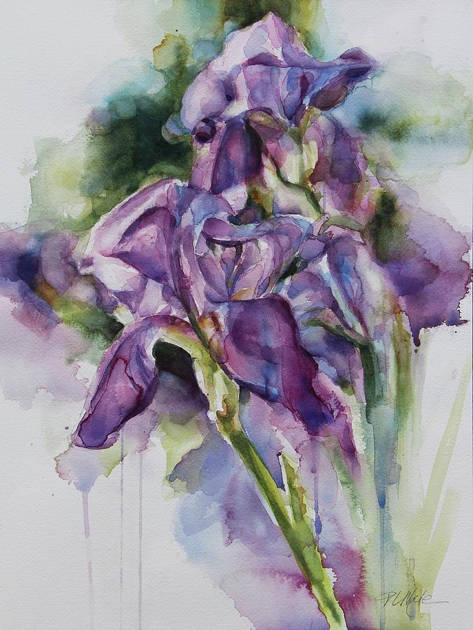 Iris Song Painting by Tracy Male - Fine Art America