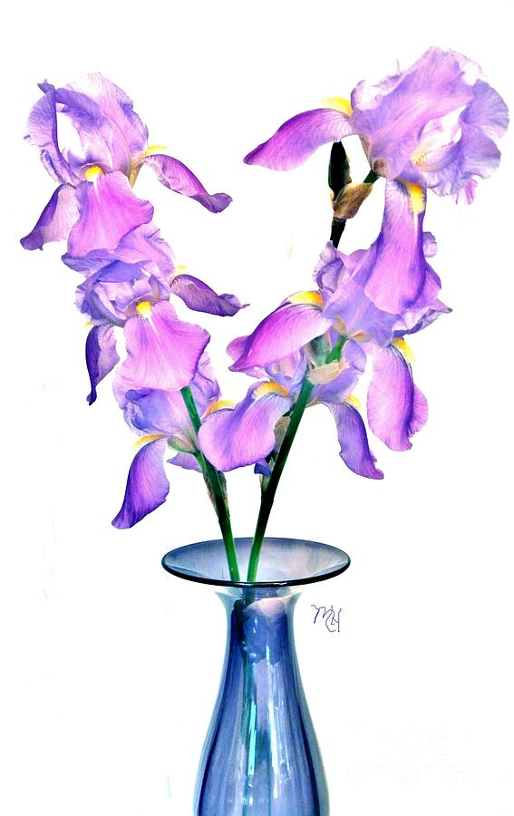 Iris Still Life in a Vase Digital Art by Marsha Heiken