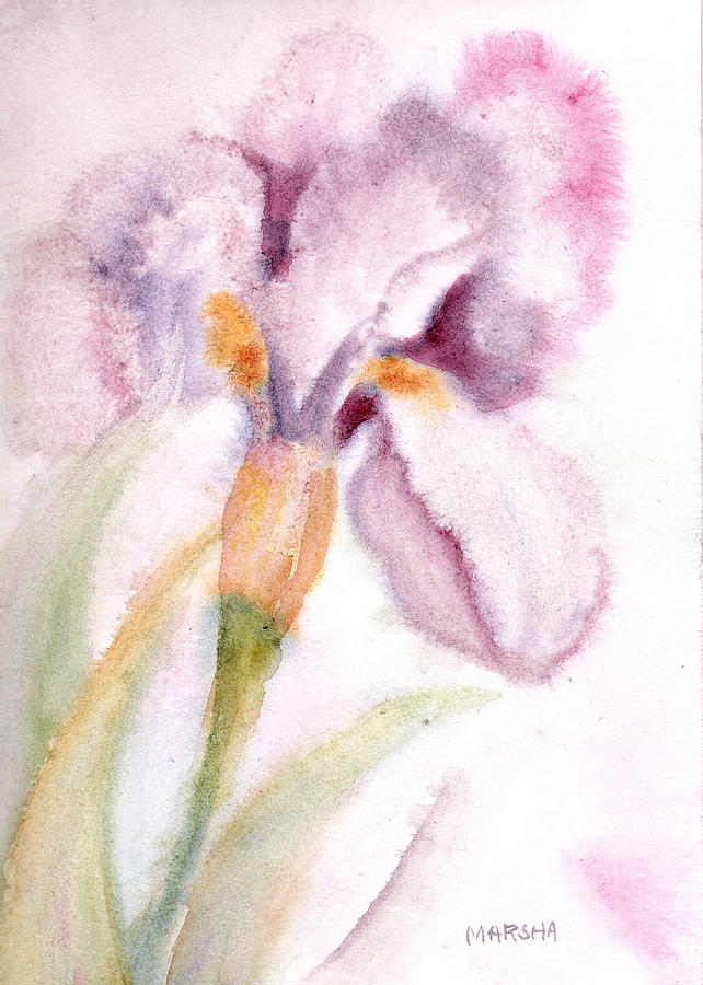 Iris Study I Painting by Marsha Woods