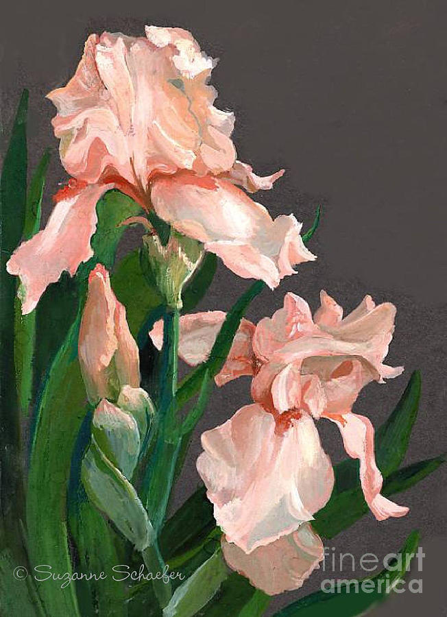 Iris Study Painting by Suzanne Schaefer