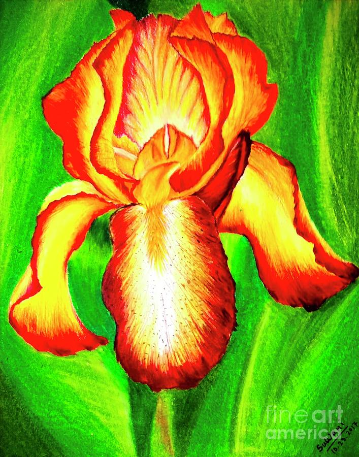 Iris Painting by Sudakshina Bhattacharya