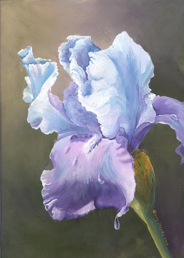 Iris Painting - Iris Tears by Sherry Shipley