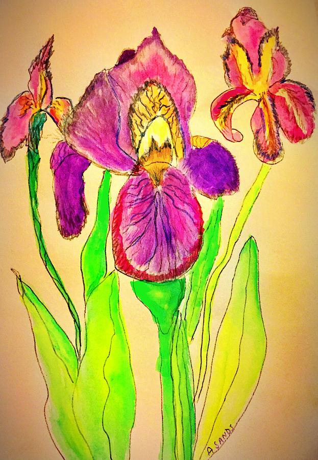 Iris Trio Painting by Anne Sands