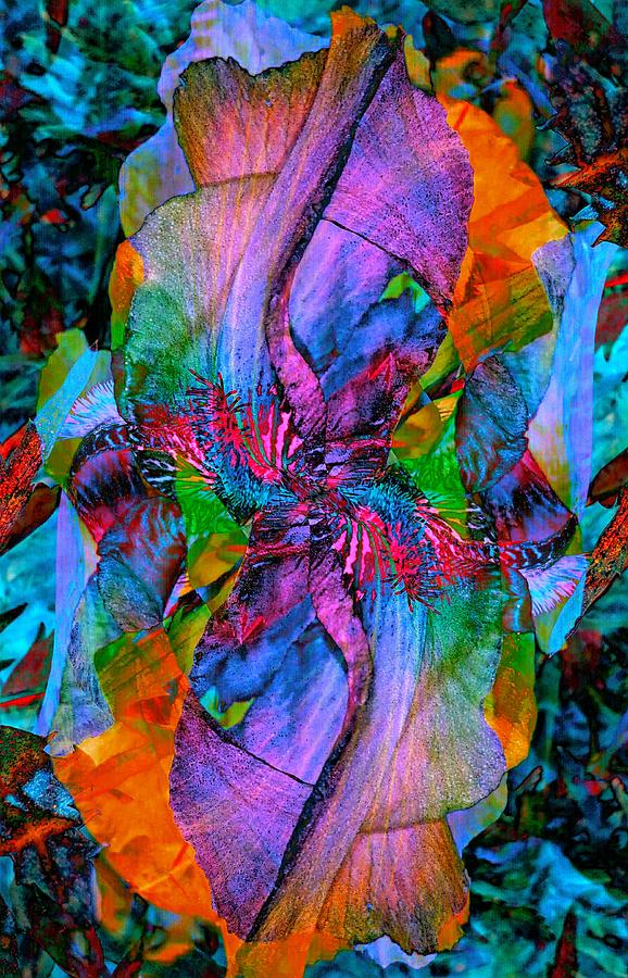 Iris Tropical Masquerade Digital Art by Trent Jackson