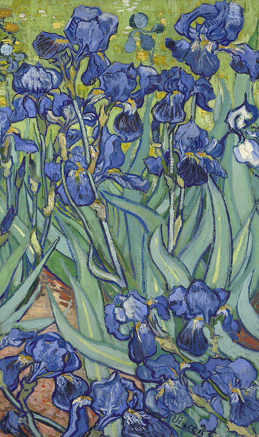 van gogh iris painting