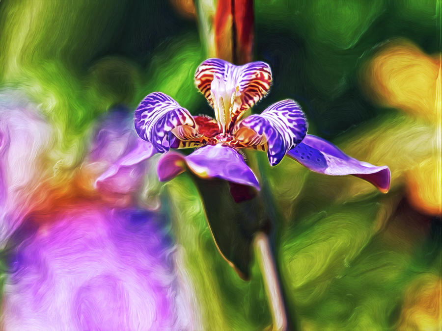 Iris Versicolor Digital Art by Doctor MEHTA Iris Versicolor Digital Art by Doctor MEHTA