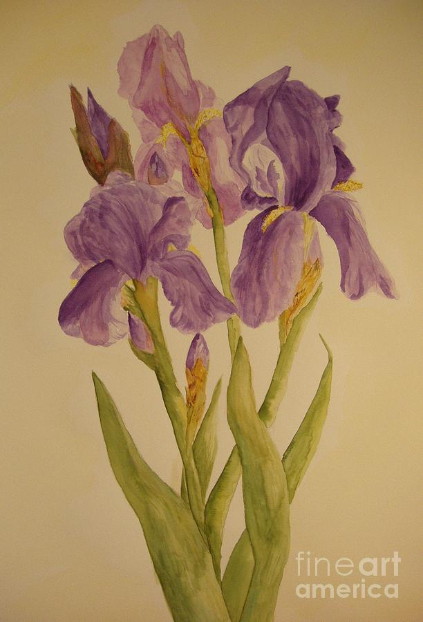 Iris Painting by Vicki  Housel
