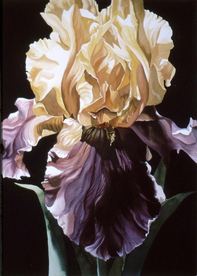 Iris With Black Painting by Alfred Ng