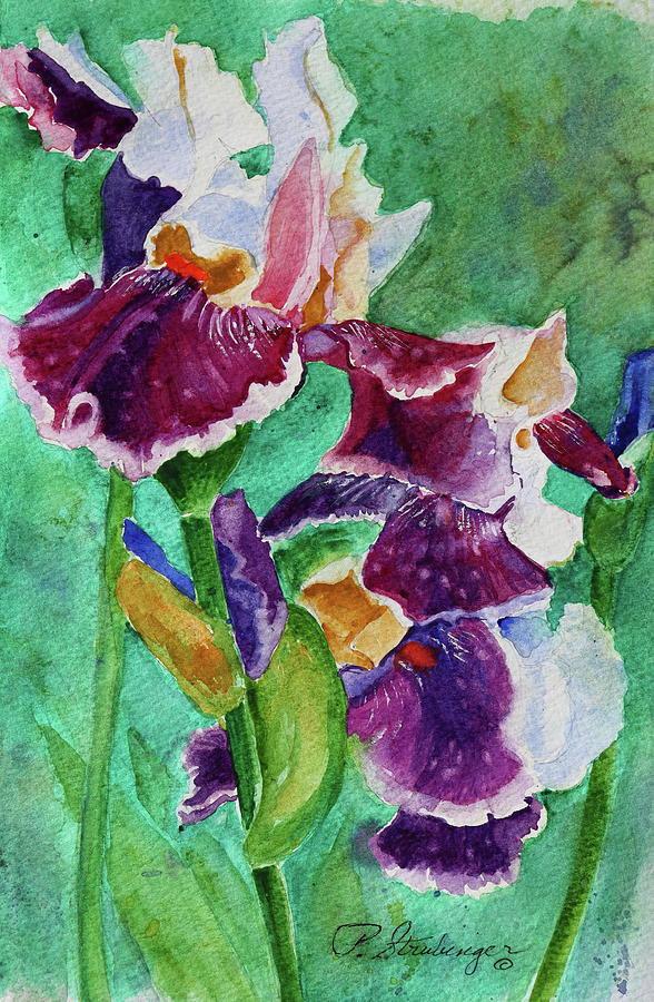 Iris With Falling Petals Painting by Patty Strubinger - Fine Art America