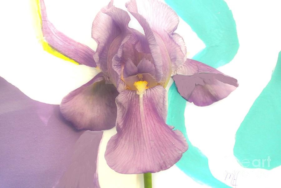 Iris With Modern Background Painting by Marsha Heiken