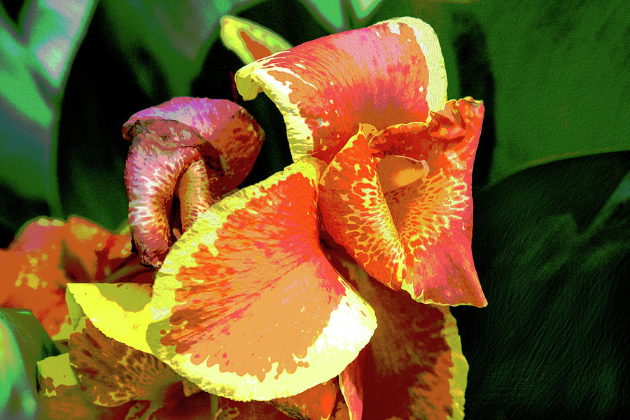 Canna Lily Yellow Gold faux oil by Gene Norris Canna Lily Yellow Gold faux oil by Gene Norris