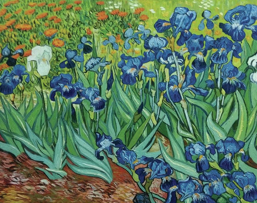 Irises 1889 by Vincent van Gogh Painting by William Roberts