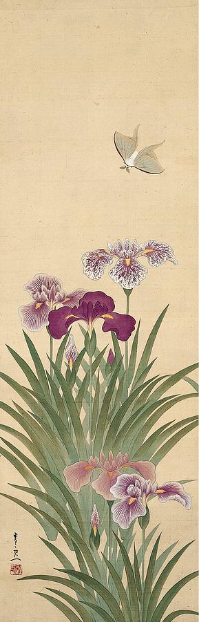 Irises and Moth Painting by Suzuki Kiitsu 