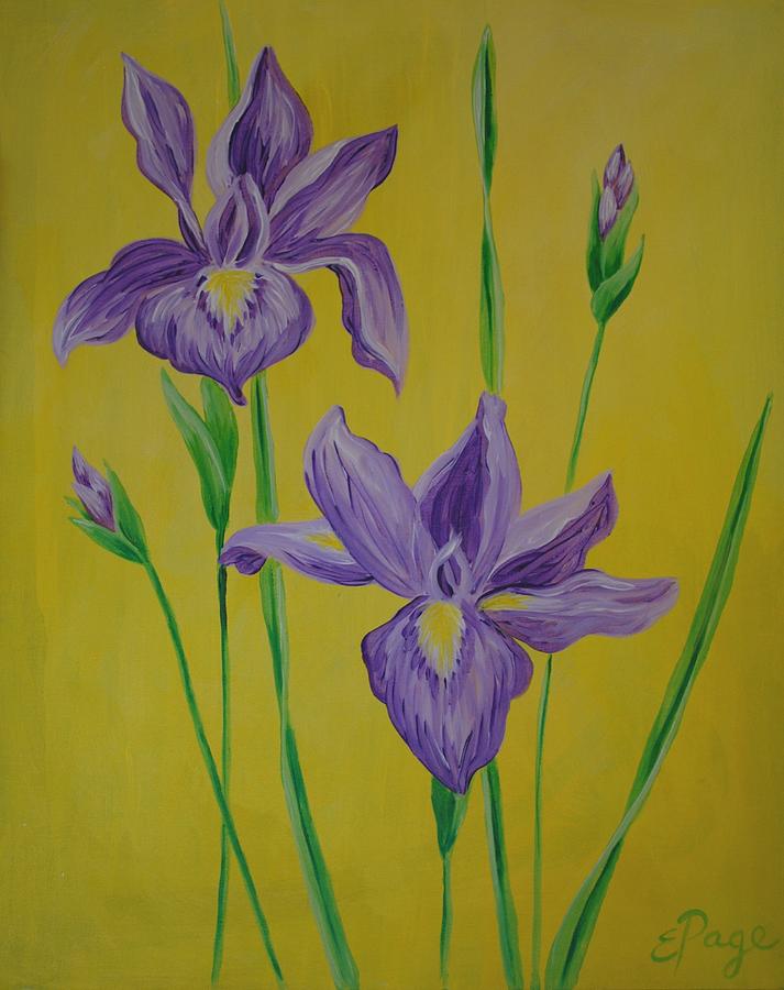 Irises Painting by Emily Page