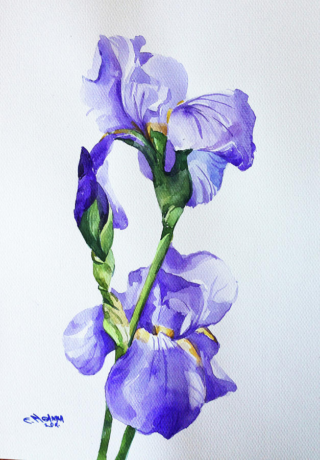 Irises Painting by Ganna Melnychenko | Fine Art America