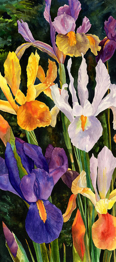 Irises in Bloom Painting by Anne Gifford
