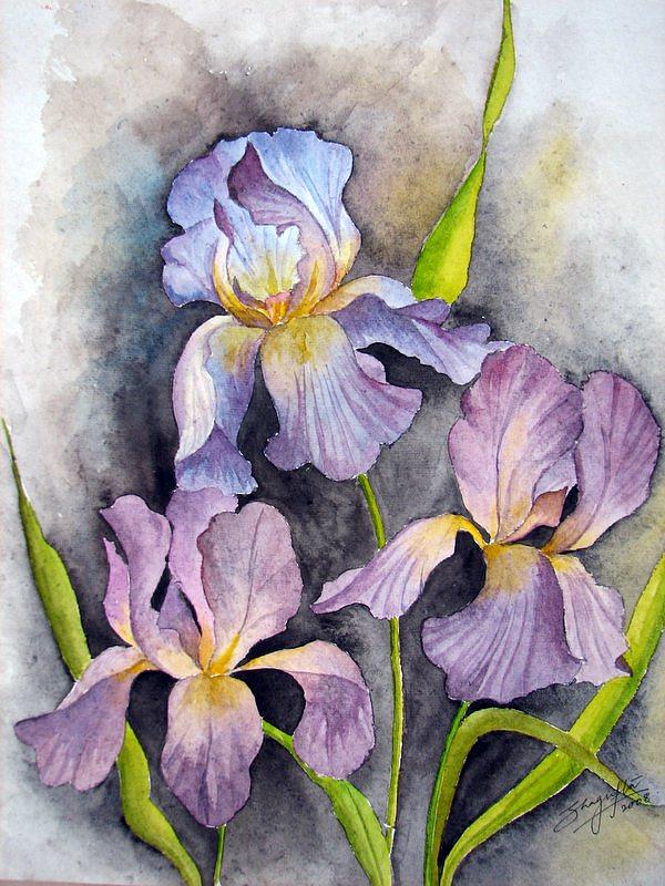 Flower Painting - Irises In Purple by Shagufta Mehdi