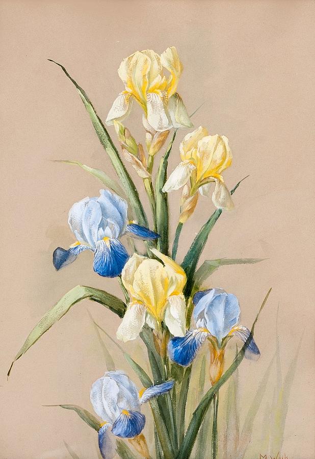Irises Painting by MotionAge Designs