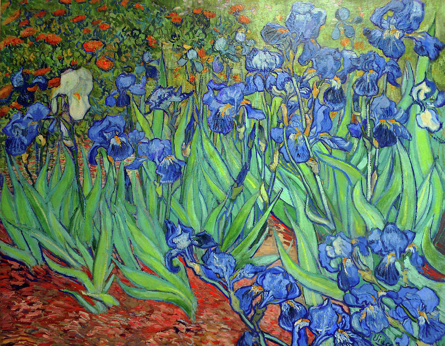 Irises Mixed Media by Michael Durst after van Gogh - Fine Art America