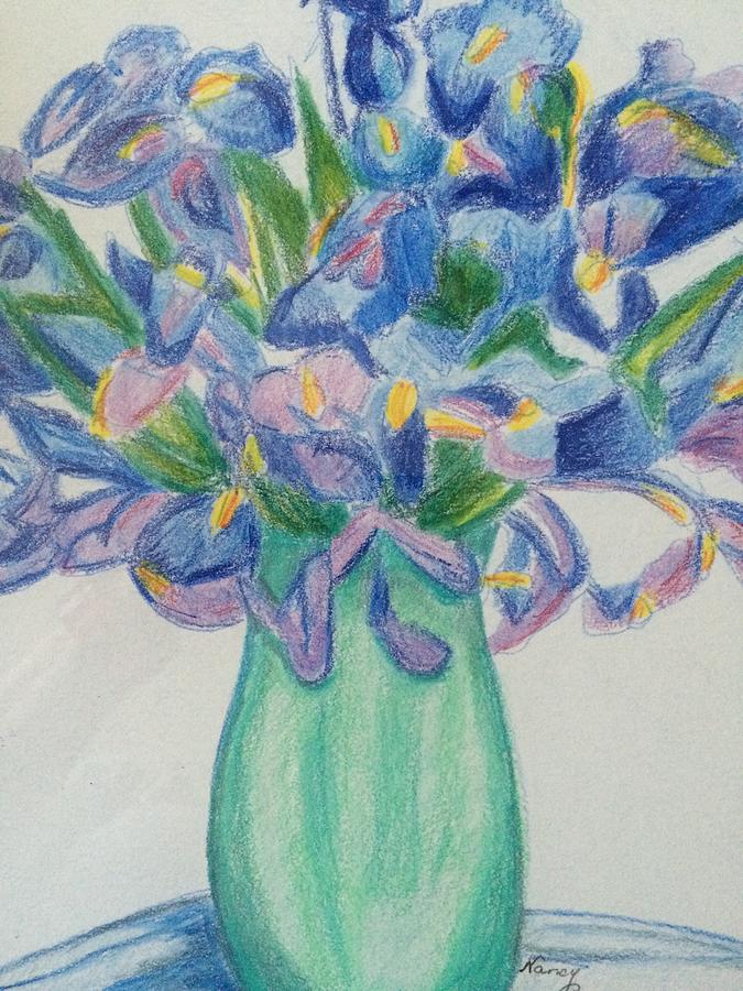 Irises Drawing by Nancy Anton