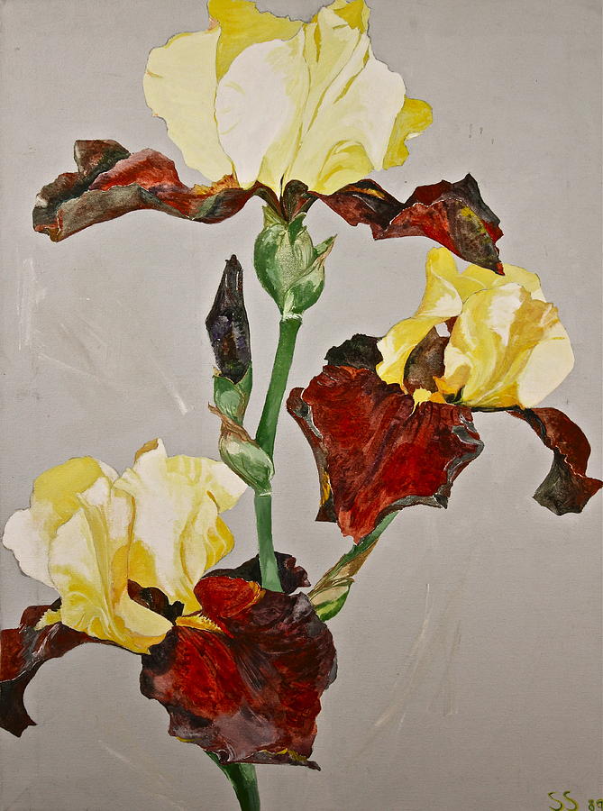 Irises-Posthumously presented paintings of Sachi Spohn  Painting by Cliff Spohn