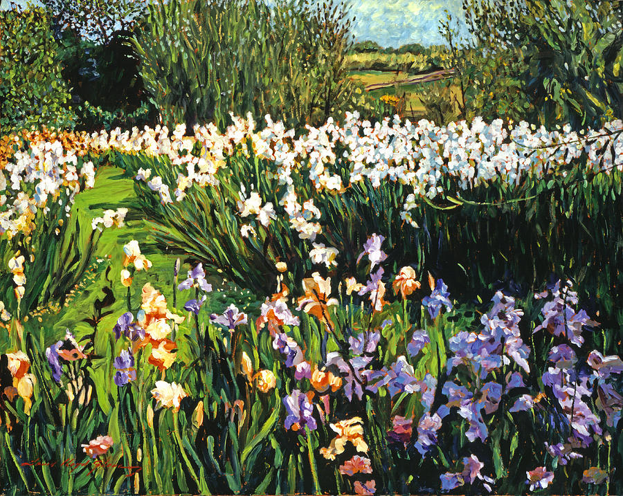 Irises Provence Painting by David Lloyd Glover