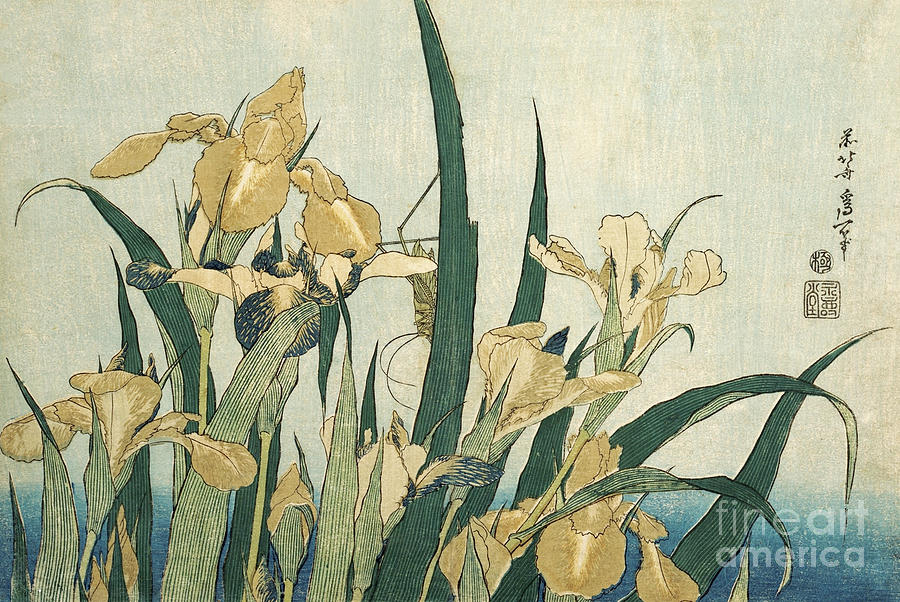 Irises with a Grasshopper Painting by Hokusai