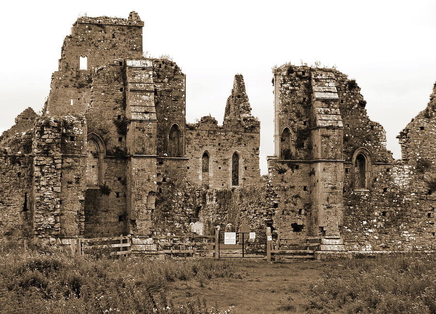 Irish Athassel Priory Medieval Gothic Ruins in County Tipperary Ireland Sepia Photograph by Shawn OBrien