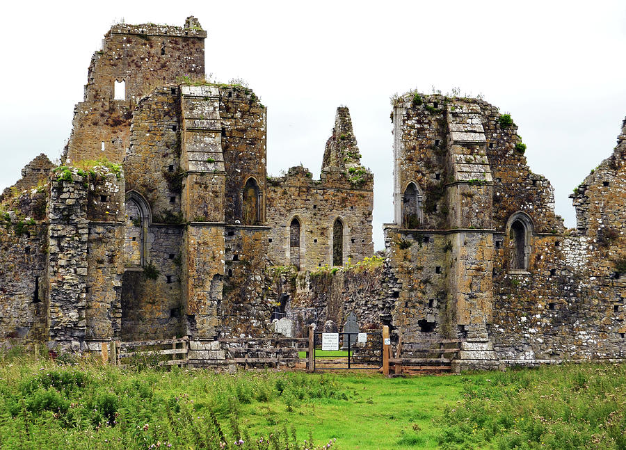 Irish Athassel Priory Medieval Gothic Ruins in County Tipperary Ireland Photograph by Shawn OBrien