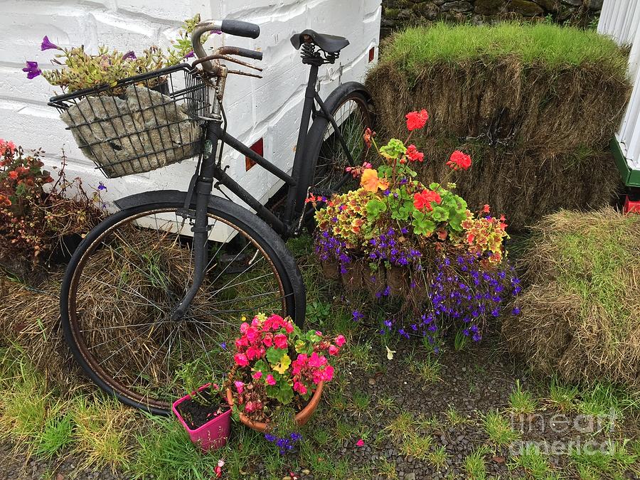 Irish bike and flowers Photograph by Suzanne Lorenz