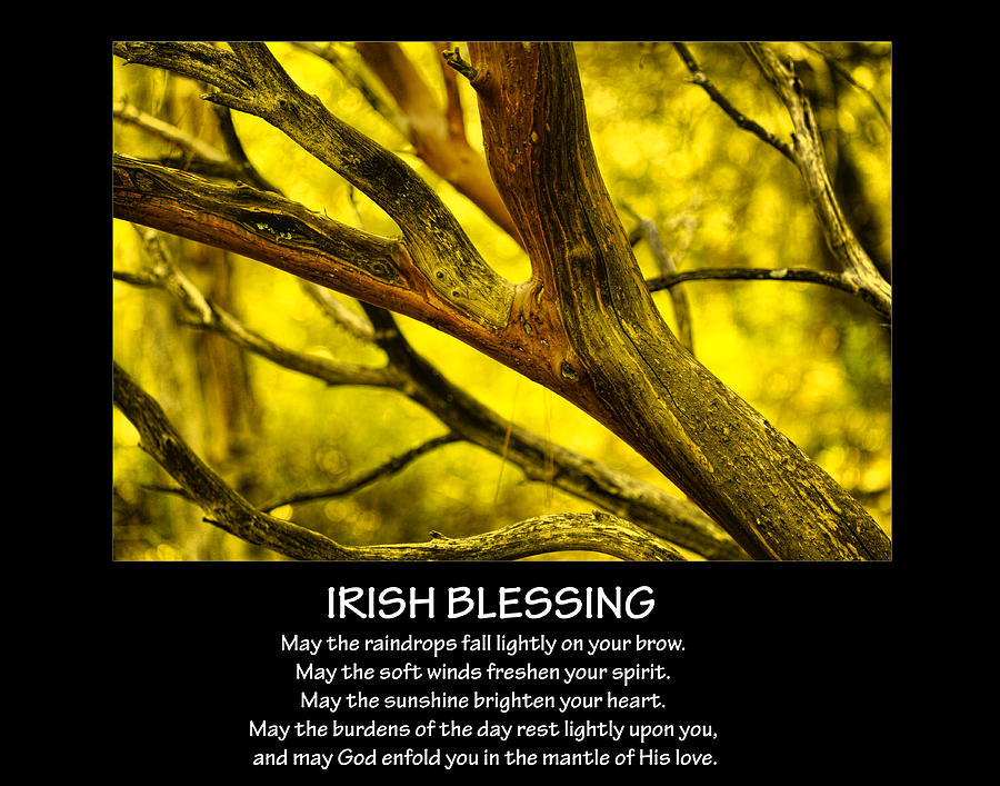 Irish Blessing Photograph by Bonnie Bruno