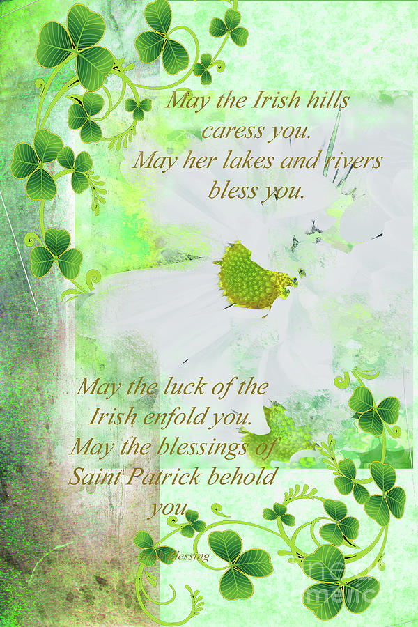 Irish Blessing Daisy and Shamrock Greeting Photograph by Regina Geoghan ...