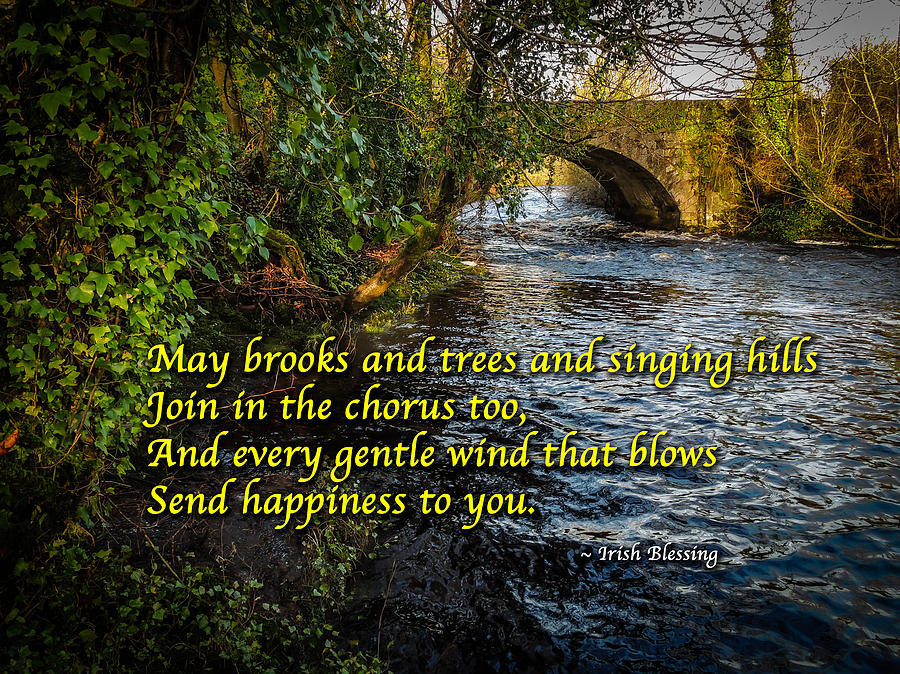 Irish Blessing - May the brooks and trees... Photograph by James Truett