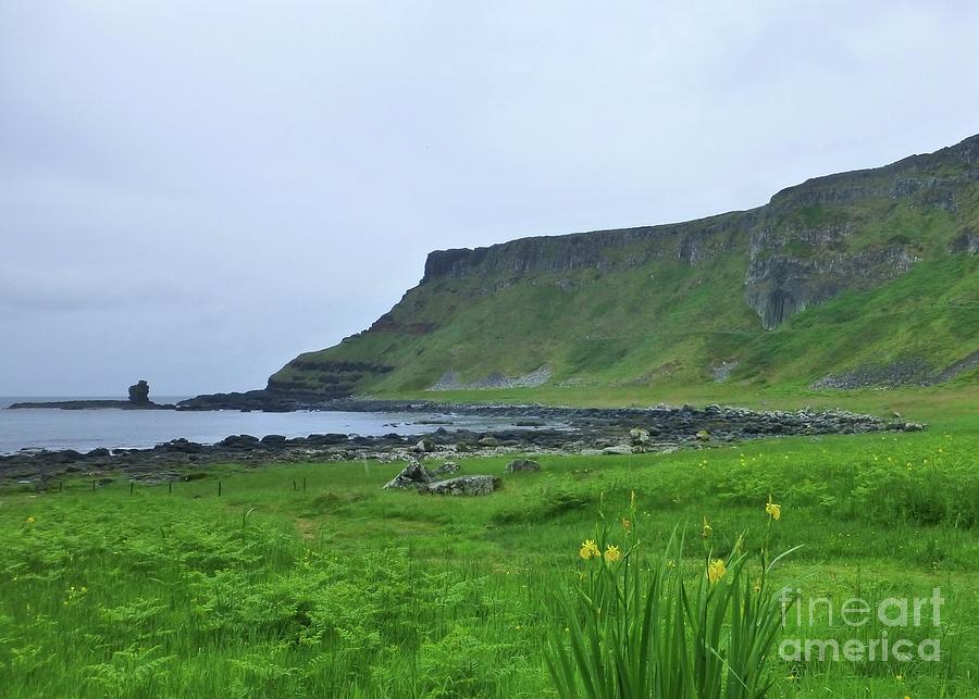 Irish Coastal Scene Photograph