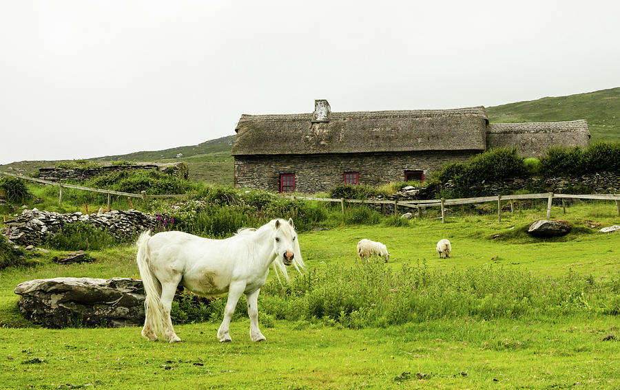 Irish Cottage Photograph