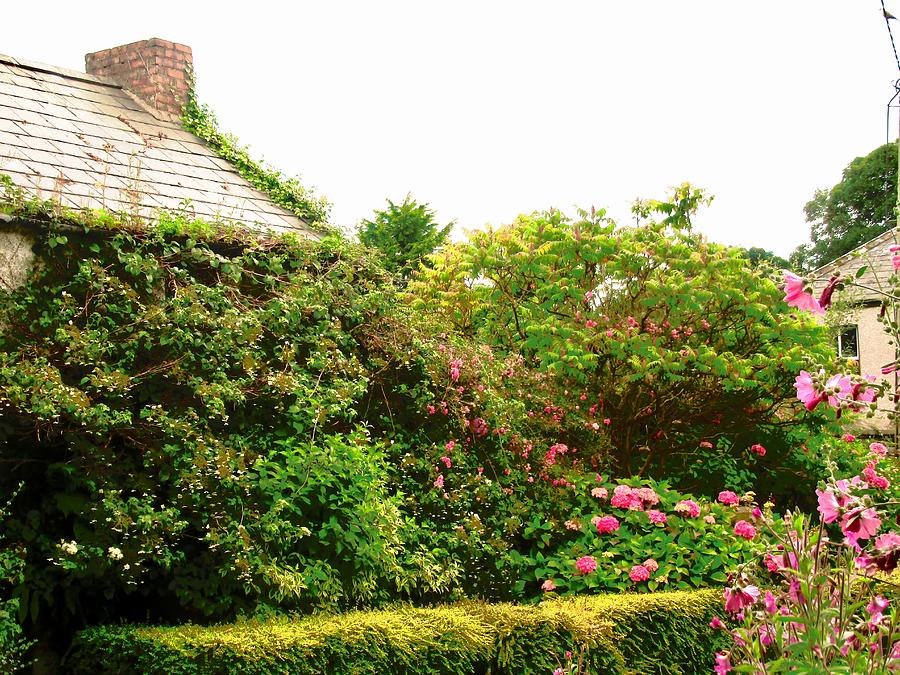 Irish Cottage Garden Photograph by Stephanie Moore