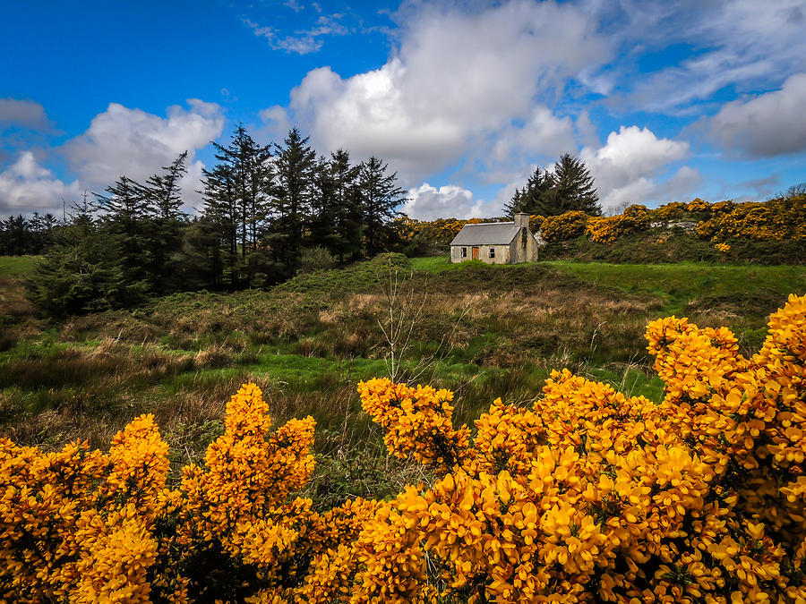 Irish Cottage in Spring Photograph by James Truett
