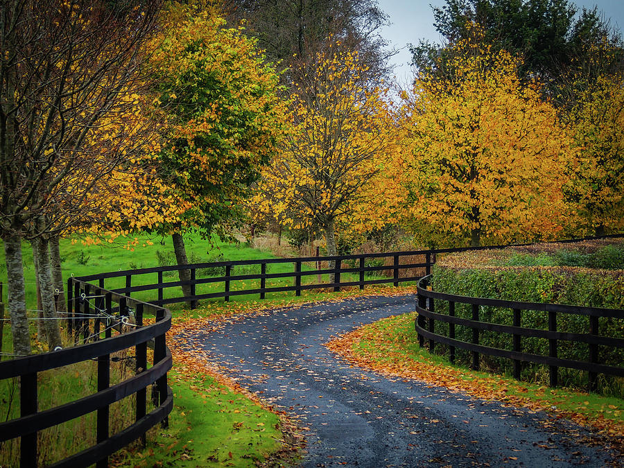 Irish Country Drive in Autumn Photograph by James Truett