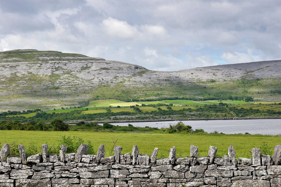 Irish dry stone wall Photograph by Andrew Michael