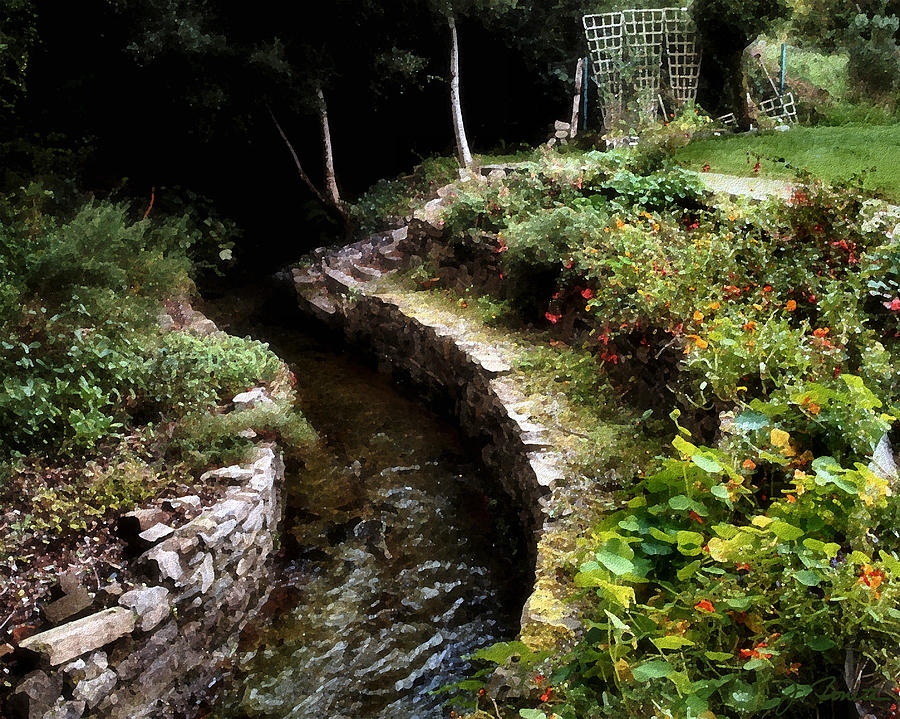 Irish Garden Stream Photograph by Joe Bonita