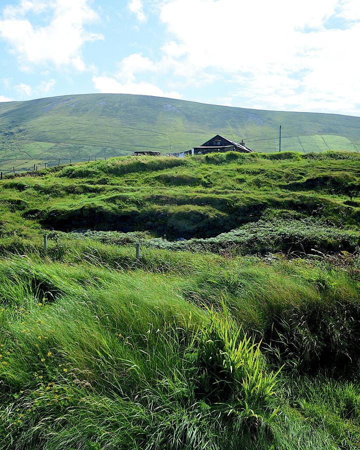 Irish Grasslands Photograph by Matt MacMillan