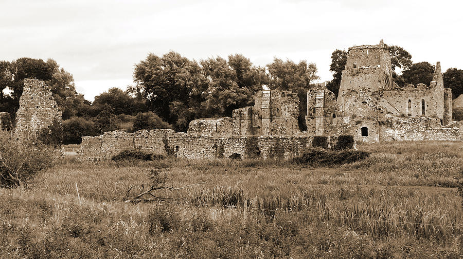 Irish Medieval Ruins of Athassel Priory in Rural County Tipperary Ireland Sepia Photograph by Shawn OBrien
