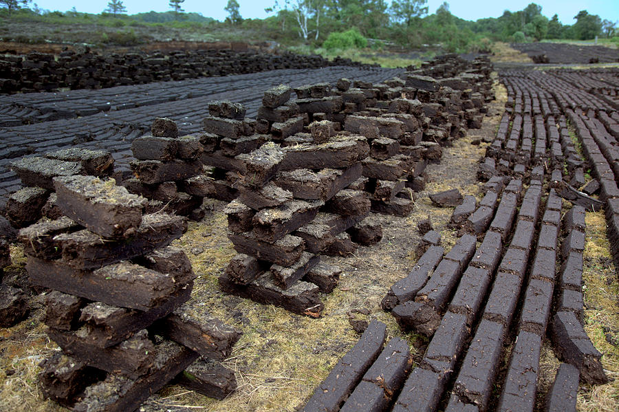 Irish Peat Bog Photograph by Ann O Connell