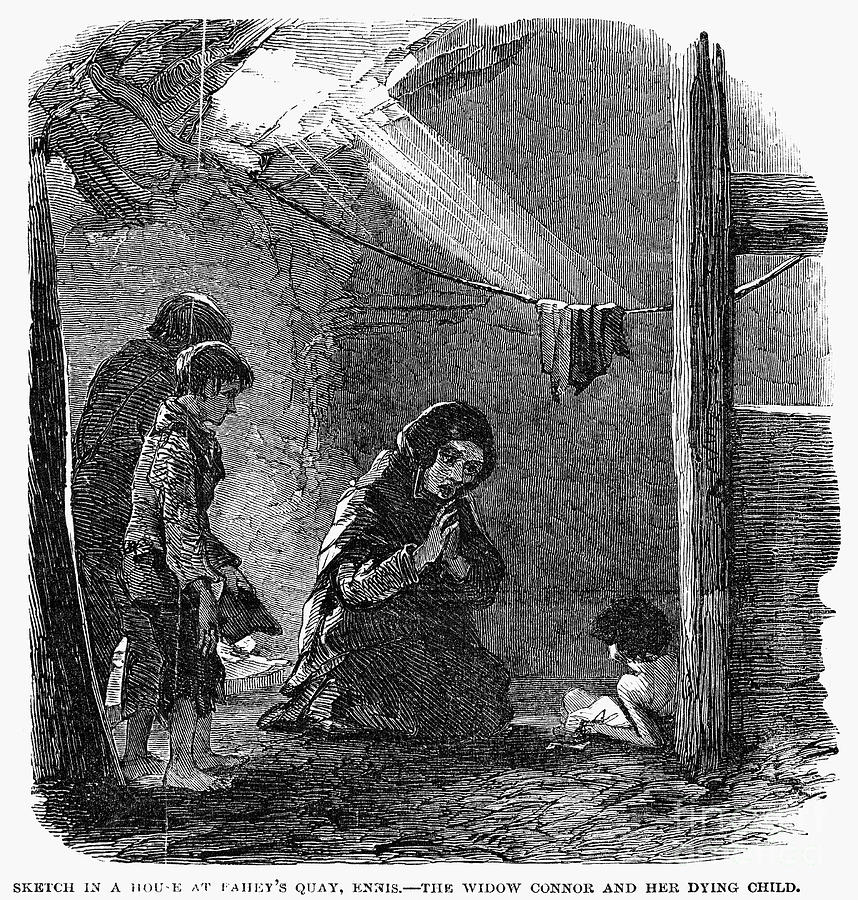 Irish Potato Famine, 1846-47 Drawing by Granger