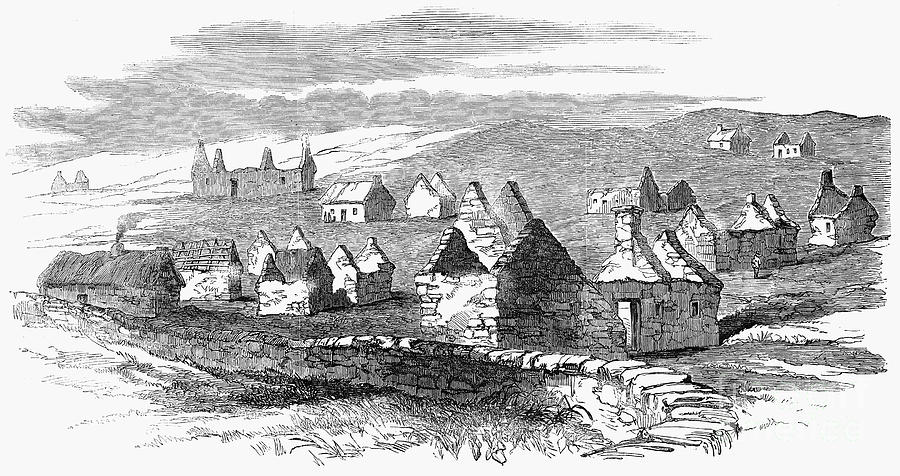 Irish Potato Famine, 1846-7 Drawing by Granger