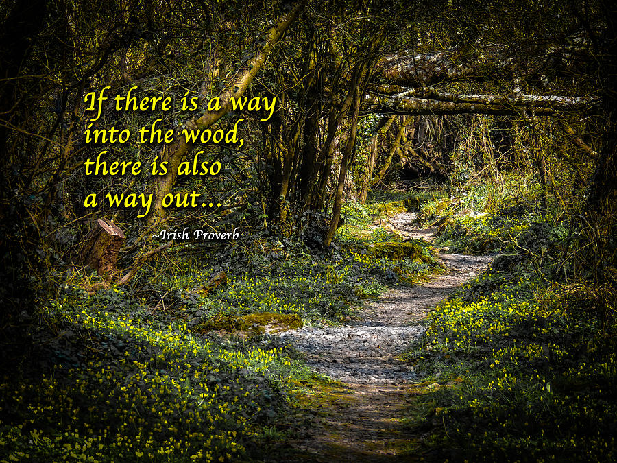 Irish Proverb - If there is a way into the wood Photograph by James Truett