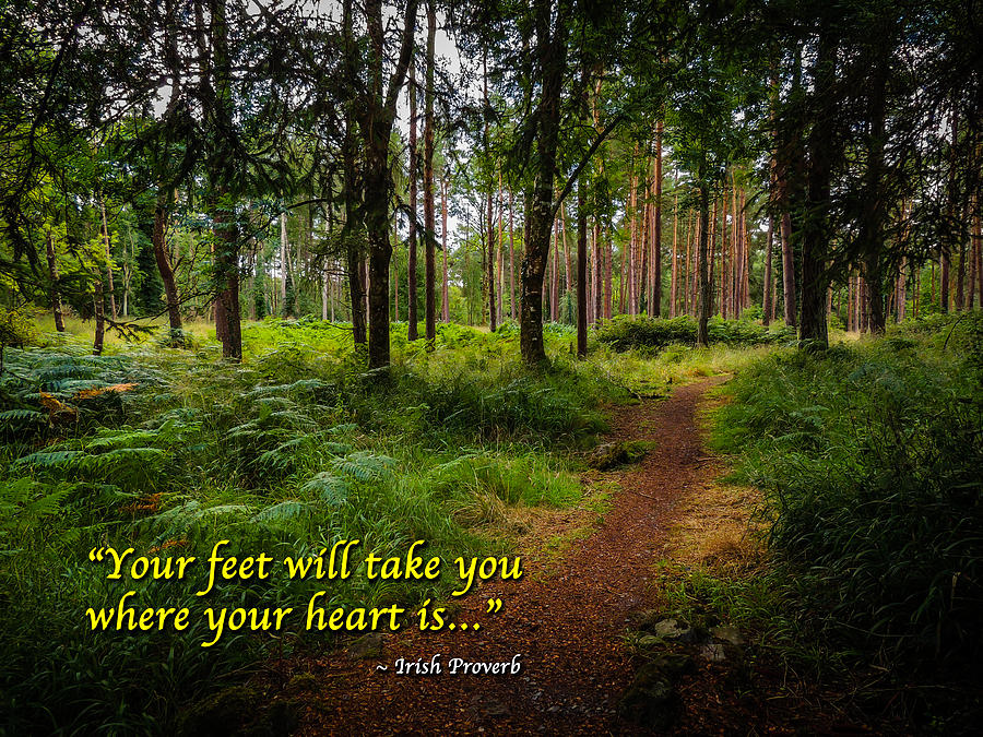 Irish Proverb - Your feet will take you... Photograph by James Truett