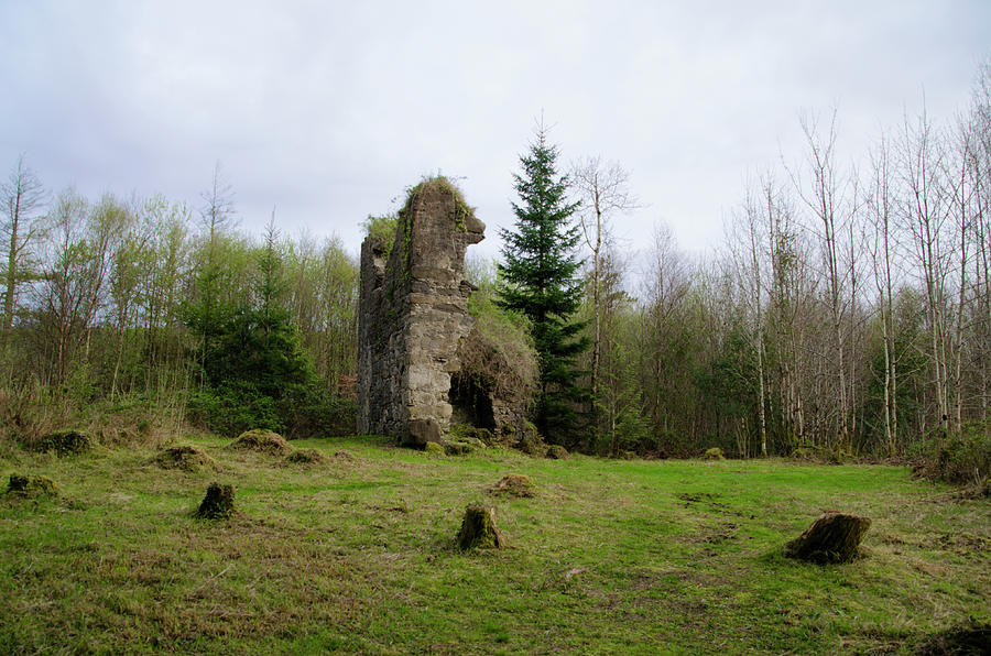 Irish Ruin near Lough Eske Photograph by Bill Cannon