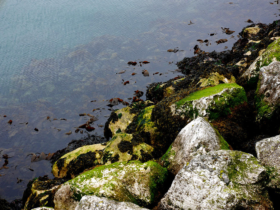 Irish Sea Rocks Photograph by Lexa Harpell
