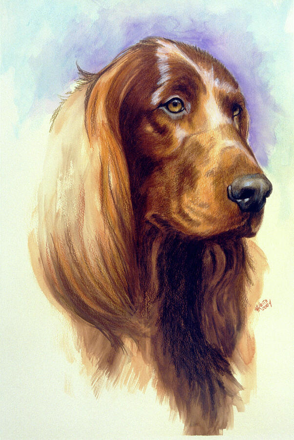 Setter watercolor Print of the Original Watercolor Painting art red irish 